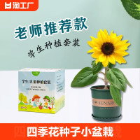 以默 儿童种植小盆栽套装学生实验套餐植物向日葵种孑四季凤仙花种籽子