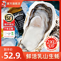 others 其他 鲜海道乳山生蚝鲜活特大号带箱5斤装大生蚝新鲜牡蛎海鲜水产BY