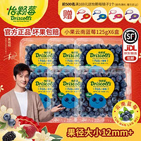 Driscoll's Only the Finest Berries 怡颗莓 当季云南蓝莓 125g*6盒