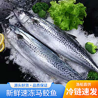 深海大鲅鱼 新鲜马鲛鱼 400-500克*1