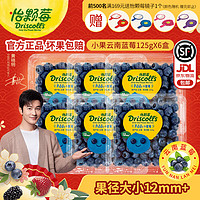 Driscoll's Only the Finest Berries 怡颗莓 当季云南蓝莓 蓝莓小果125g*6盒