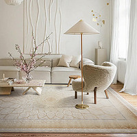 易普美家 土耳其进口天丝地毯现代法式轻奢卧室客厅毯里斯200cm×290cm