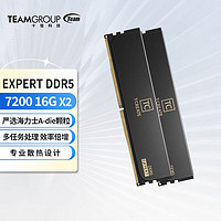 Team 十铨 EXPERT DDR5 7200MHz 台式机内存 马甲条 灯条 黑色 32GB 16GBx2