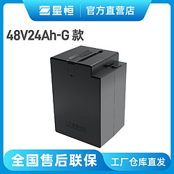 雅迪48v21ah异形电池图片