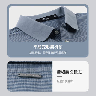  SEPTWOLVES/七匹狼 桑蚕丝 男士POLO衫  212(粉绿) 170/88A/L