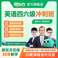 新东方大学英语四级六级网课 2024四六级考级直录播视频课程培训