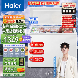 Haier 海尔 251升低霜卧式商用家用冰柜 商用大容量冷藏柜冷冻柜冰柜家用囤货小冰箱冷柜BC/BD-251HD