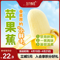 东方甄选 苹果蕉3斤/4.5斤装 自然饱满 4.5斤 到货需自行熟化2-5天