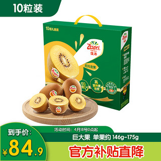 Zespri 佳沛 阳光金果 奇异果 超大果 单果146-174g 10个 礼盒装