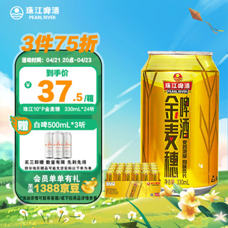 珠江啤酒 金麦穗啤酒 330ml*24听