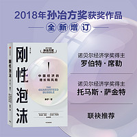 刚性泡沫（增订版）朱宁著 2018年孙冶方奖获奖作品全新增订 诺贝尔经济学奖得主罗伯特席勒推荐 读懂中国经济的过去与未来