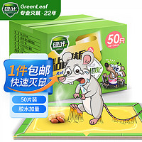 GREEN LEAF 绿叶 粘鼠板老鼠粘板捕鼠器强力胶粘老鼠贴耗子粘板50只装/箱GL02106