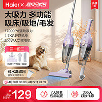 Haier 海尔 吸尘器家用强力小型手持吸尘器手持式推杆两用吸尘器沙发狗毛