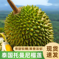 隆盛斋泰国托曼尼榴莲新鲜榴莲热带水果巴掌榴莲整个带壳当季鲜果 托曼尼榴莲 3-4斤 保4房