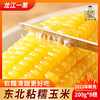 【新季玉米】新货尝鲜东北糯玉米甜糯香黏粘玉米棒真空袋装黏玉米
