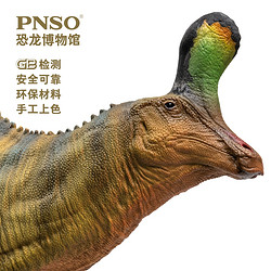PNSO 青岛龙小琴恐龙博物馆1:35科学艺术模型