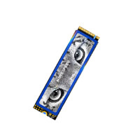 MOVE SPEED 移速 美洲豹Pro系列 M.2 NVMe 固态硬盘 512GB