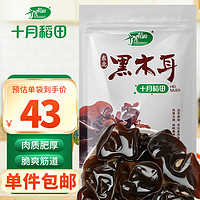 十月稻田 东北黑木耳500g 干木耳特产 泡发率高 火锅食材凉拌 干货