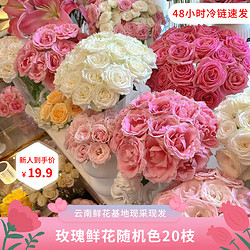 京東鮮花 色玫瑰20枝顏色品種昆明直發鮮花