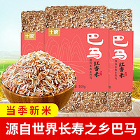 十琅 2021新米广西巴马红香米红米农家自产杂粮特产红血稻米500g