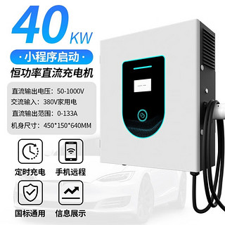 云亿兆 直流汽车充电桩7/20/40kw30新能源家用壁挂式直流9孔快充380V器适用红旗EQM5