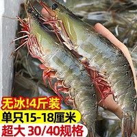 东上御品 虾 青岛大虾基围虾鲜活青虾白虾海虾对虾冰虾冻虾生鲜 虾类 海鲜 15-18cm 4斤