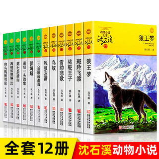 沈石溪动物小说全集全套12册品藏书系列 狼王梦斑羚飞渡第七条猎狗后一头战象 儿童文学课外书籍