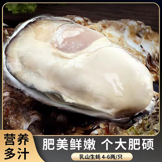 源头直发！顺丰冷链！ 乳山生蚝 5XL 特大！ 5.5斤装 （带官方溯源防伪标识、死蚝包赔）