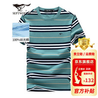 七匹狼短袖T恤男夏季抗菌休闲条纹圆领打底衫男装冰爽凉感透气男士上衣 209(浅绿) 175/92A/XL 209(浅绿)-纯棉款