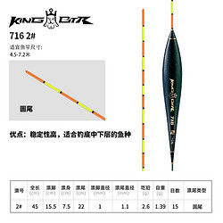 BenTing 本汀 鱼漂 高灵敏 纳米漂