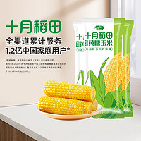 十月稻田 鲜食黄糯玉米220g*3大棒新鲜苞米真空包装早餐官方旗舰