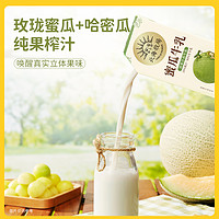 88VIP：LAND OF PROMISE 北海牧场 蜜瓜+草莓牛乳200mL*6盒*2箱整箱