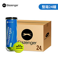 Slazenger 史莱辛格 网球温网用球胶罐训练比赛施莱辛格豹子球练习球专业球网球24罐