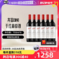 Penfolds 奔富 BIN8 750ml*6支装赤霞珠干红葡萄酒