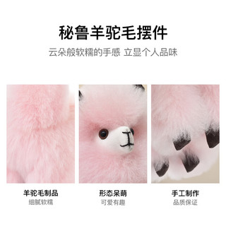 温暖驼
