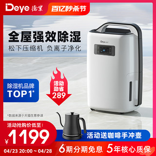 Deye 德业 DYD-N20A3 除湿机 20L/D