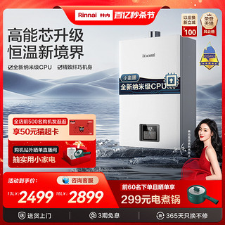 Rinnai 林内 JSQ31-GC21 强排式燃气热水器 16L