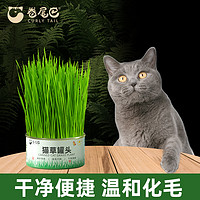 CURLY TAIL 卷尾巴 猫草水培盒盆栽牧场去化毛球片