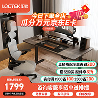 Loctek 乐歌 电动升降桌智能电脑桌站立办公简约实木家用书桌双电机E5N/E5X 黑腿+灰木纹桌板 1.2*06米桌板