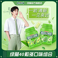 百亿补贴：DOUBLEMINT 绿箭 口香糖40粒12瓶装多规格绿茶原味清新口气随身携带休闲糖果零食