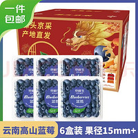 蓝莓 125g*6盒 特大果径15-18mm