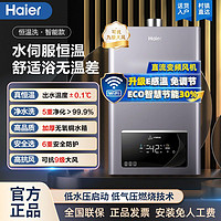 百亿补贴：Haier 海尔 TE7星河系列 燃气热水器