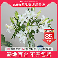 花点时间 香水百合鲜花云南直发昆明基地鲜切花百合花水养插花家用