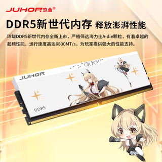 JUHOR 玖合 玲珑系列 DDR5 6800MHz 台式机内存 马甲条 32GB 16GBx2 海力士A-die颗粒 CL34