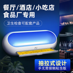 HZ 晗正 诱捕式灭蝇灯商用餐厅电子灭蝇器酒店餐饮捕蝇器悬挂式灭蚊灯室内 白双灯款：带二支8W灯管配10张纸