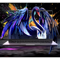 机械革命 无界14S 2024 14英寸轻薄本(R7-8845HS、16GB、512GB、2.8K、120Hz)