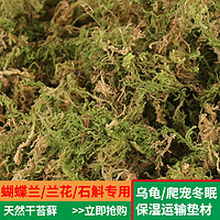 兰花 苗装饰 育苗种植苗木嫁接干苔藓石斛水草青苔 宠物龟冬眠垫