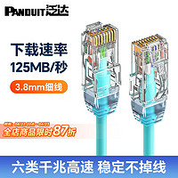 PANDUIT 泛达 六类细网线CAT6类千兆跳线POE监控办公家用水晶头宽带成品网线 冰湖蓝 0.5米