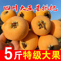 冰茜 五星枇杷  特大果 5斤装  单果35g＋