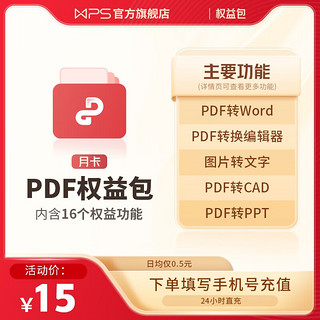 WPS PDF会员套餐 月卡31天官方正版会员PDF编辑图片转文字pdf转word 月卡31天